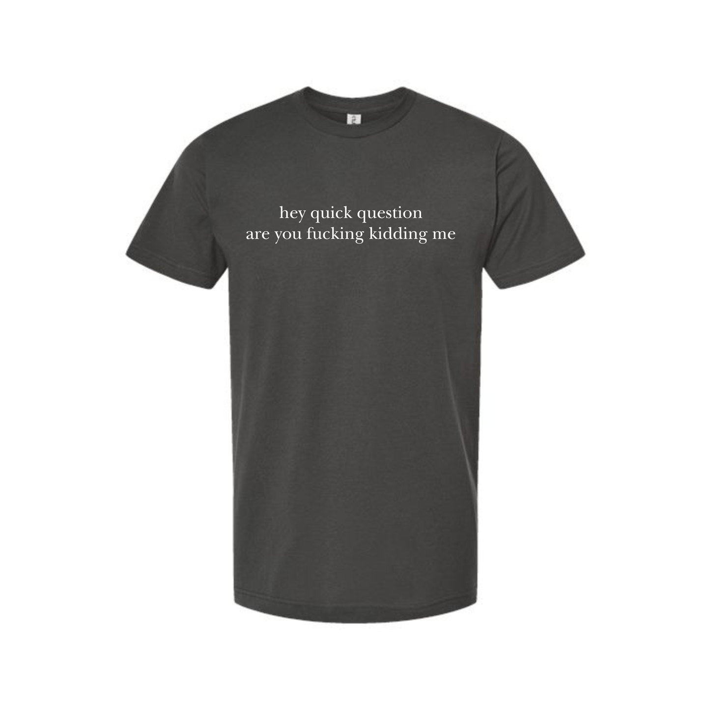 Hey Quick Question Are You F*cking Kidding Me? Funny Graphic Tee